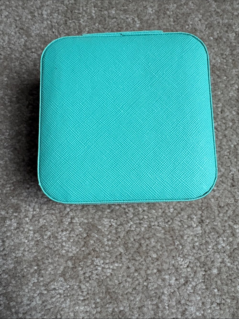 “Tiffany” blue  Robins Egg Accessory Case - Travel gear- Portable Storage